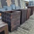 Квітник Брускета Форест підкреслить красу квітів...